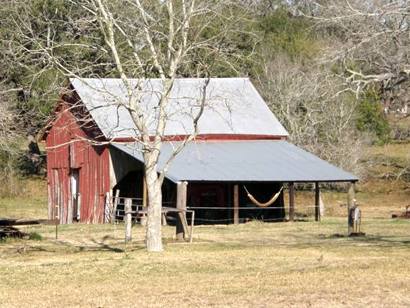 Witting Tx - Shed