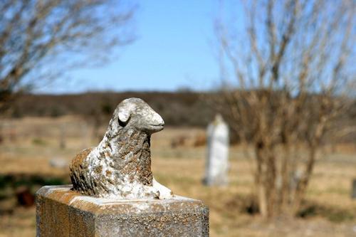 Zorn Texas cemetery lamb on tombstone