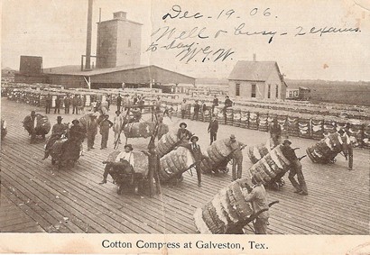 Cotton Compress at Galeston, Texas