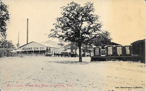 Devine Texas - Adams Gin Co.