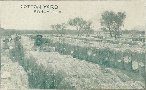 Cotton Yard, Brady, Texas