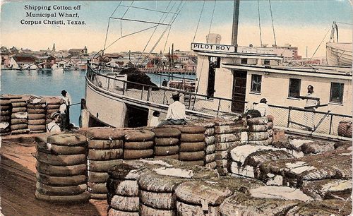 Shipping cotton off Municipal Wharf, Corpus Christi, Texas