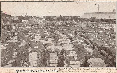  Corsicana TX Cotton Yard, 1907