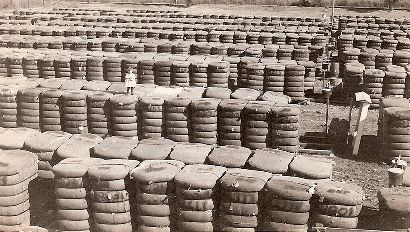 A Texas Cotton Scene - Little Girl on 