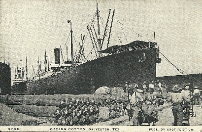 Galveston TX - Loading Cotton, circa 1912