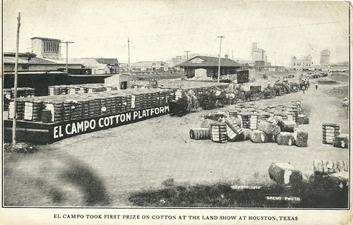 El Campo, TX - cotton scene