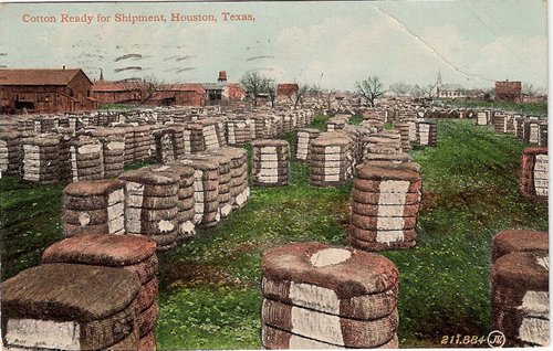 Cotton ready for shipment, Houston, Texas