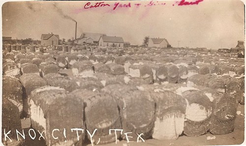 Knox City, Texas cotton yard