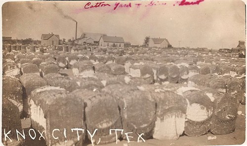 Knox City, Texas cotton yard