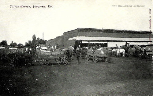 Longview, TX - Cotton Market Scene 