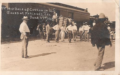 First bale of cotton in US ginned at Mercedes TX