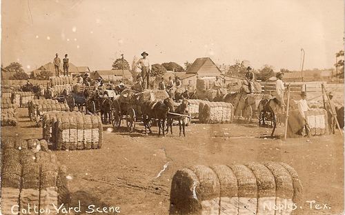 Cotton Yard Scene. Naples, Texas