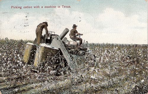Early TX Cotton picking machine
