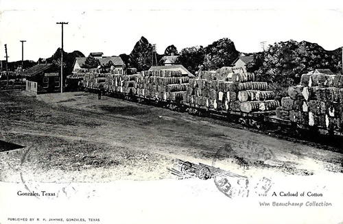 Gonzas, TX cotton shipped by railroad