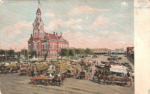 Cotton at Waco, Texas City Hall Square
