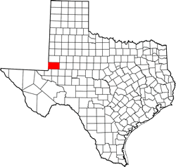 Andrews County TX