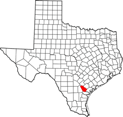 Bee County TX