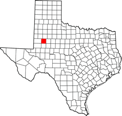 Dawson County TX