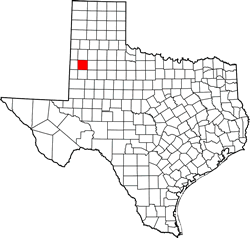Hockley County TX