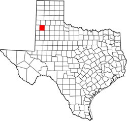 Lamb County TX
