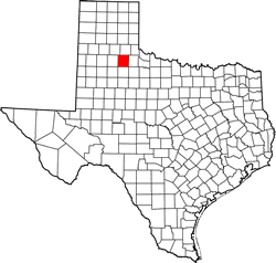Motley County TX