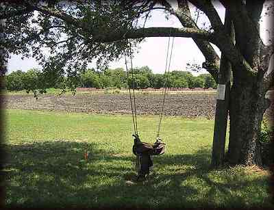 saddle swing in Italy Texas