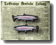 fish on newspaper, icon
