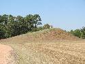 Caddo Mounds