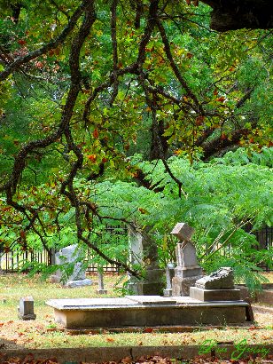 Crockett, Houston County, Texas - Glenwood Cemetery