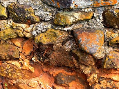 Houston County TX Rock with Lichen