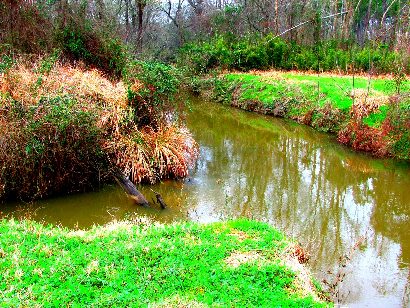San Pedro Creek in  Houston County Texas