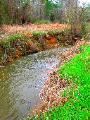 San Pedro Creek sign, Houston County, Texas