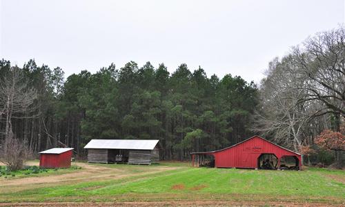 Arcadia TX Farm 