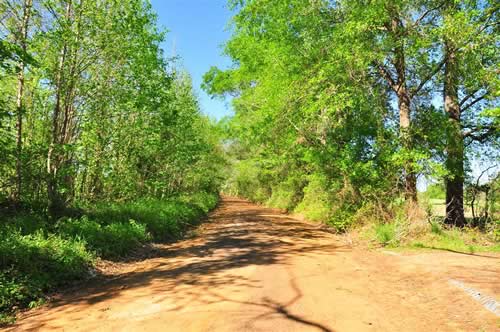 Bobo TX Country Road