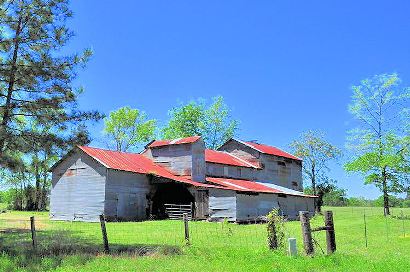 Brachfield TX Tin Shed