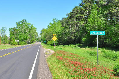 Caledonia TX Highway Sign