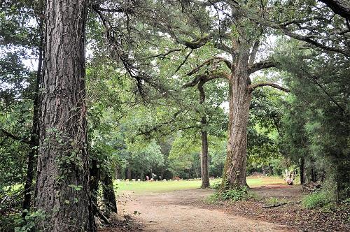 Harrison County TX , Carterville Cemetery