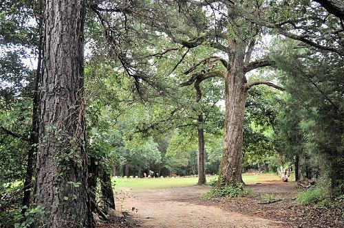 Harrison County TX , Carterville Cemetery