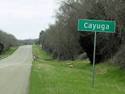 Cayuga