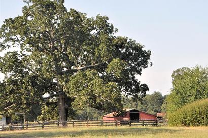 Cherry TX - Barn