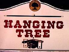 Coldspring Texas hanging tree sign