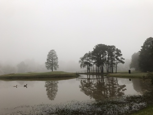 Conroe TX - Ducks in pond by golf course