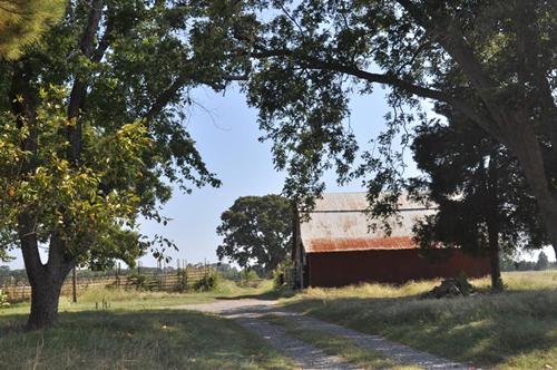 TX - Fair Play, Panola County  country road