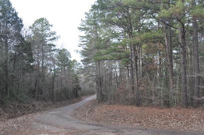 Macedonia TX - Road 