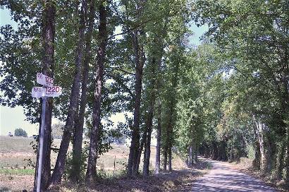 Marshall Springs TX - Country Road