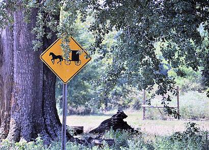 Marshall Springs TX - Horse & Buggy Sign
