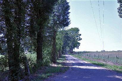 Marshall Springs TX - Country Scene