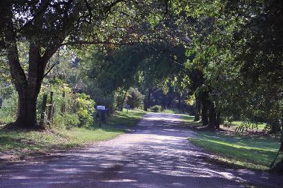 Mt Mitchell TX - East Texas courtry road 