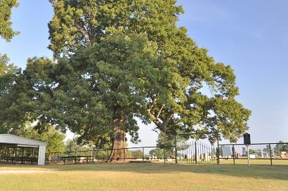 Negley TX - Tuggle Springs Cemetery 