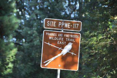 Negley TX - Site PPWE-117 Wildlife Trail
